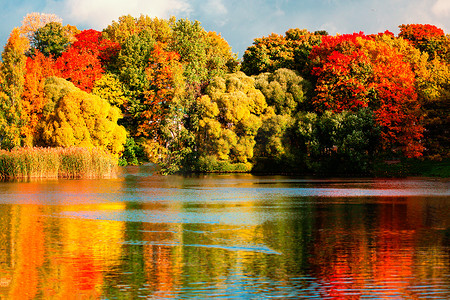 美丽的秋天公园与五颜六色的叶子、树和湖。秋季景观公园在秋季。Octobe 森林