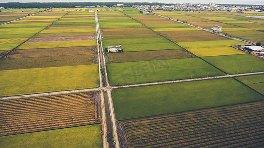 飞行员简笔画卡通摄影照片_空中照片从飞行无人机的农田与绿色稻田在亚洲。马来西亚乡村的耕地与稻田