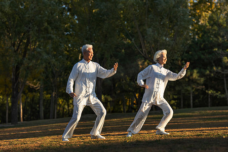 老年夫妇正在练太极拳