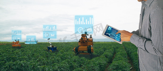 太聪明的农业产业4.0 概念。农民用平板电脑控制机器人来喷洒选定的杂草种类, 并使用机械工具去除其他杂草种类, 这种除草剂具有抗药性。