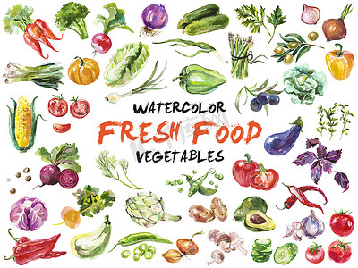 蔬菜手绘手绘摄影照片_水彩画蔬菜上白色孤立