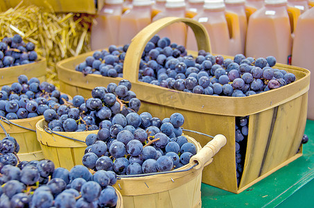 蓝色协和葡萄在木篮子在市场上