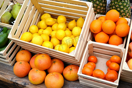 柑橘类水果从柑橘、 金橘、 橙子和柠檬在当地农场市场一套