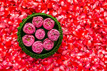 在红玫瑰花瓣的背景下，带着莲花的香蕉叶克拉通，为泰国的满月或洛伊克拉通节.