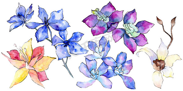 在白色上分离出紫色、黄色和白色的兰花。水彩背景插图。手绘水花.
