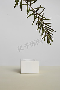 Minimalism composition of an empty pedestal and a natural branch