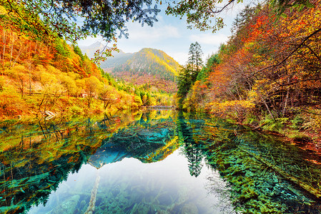 Wonderful view of the Five Flower Lake among fall woods