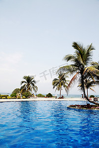 游泳池摄影照片_在棕榈树的中国酒店的游泳池。中国三亚