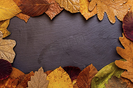 秋天树叶框架上暗石背景。秋季概念沃尔玛