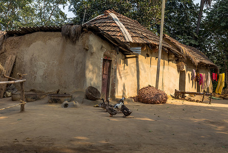 印度农村村庄现场班古拉、 西孟加拉邦与泥房子和院子里的家禽.