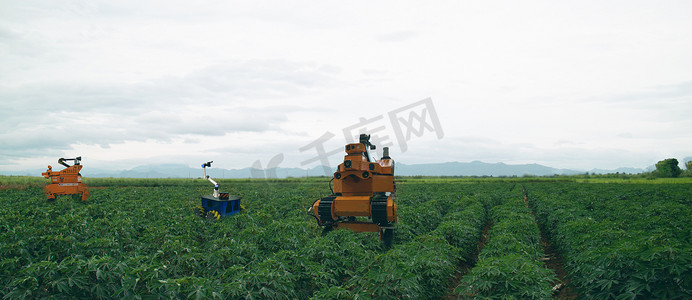 太聪明的农业产业4.0 概念。农民使用机器人来喷洒选定的杂草种类, 并使用机械工具去除其他杂草种类, 抗除草剂