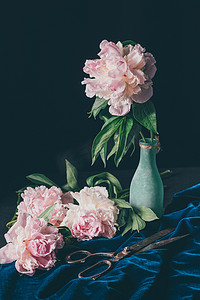 花瓶中的牡丹花摄影照片_深色背景剪刀花瓶中的淡粉色牡丹花