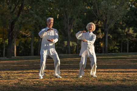 老年夫妇正在练太极拳