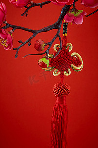中国农历新年春节摄影照片_春节的农历新年装饰
