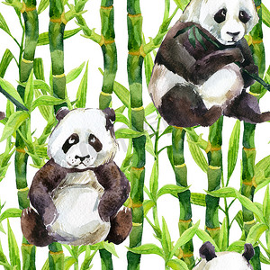 熊猫水彩摄影照片_熊猫与竹水彩无缝模式