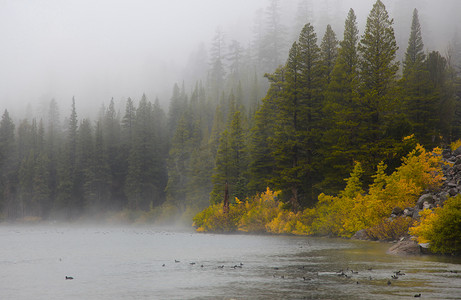 猛犸象湖景观在雨天在加州猛犸湖附近
