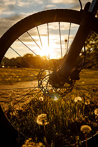日落时自行车在田里飞驰.液压式制动盘的闭合