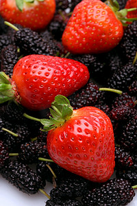 水果草莓桑葚