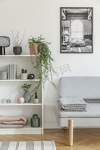 沙发摄影照片_白色木制书架与灰色植物, 书籍和花瓶旁边灰色沙发与毯子
