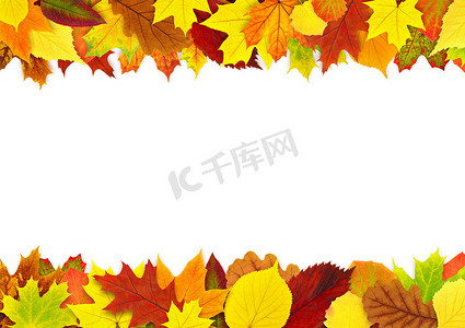 多彩的秋天的树叶边框