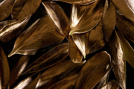 黄金闪亮的金属装饰叶的顶视图隔离在黑色