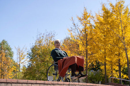 公园内坐轮椅的老年人晒太阳