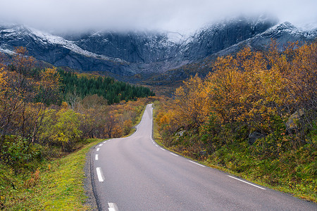 通往挪威罗浮敦岛、斯堪的纳维亚半岛、欧洲的Nusfjord的山路，周围环绕着黄树和松树林