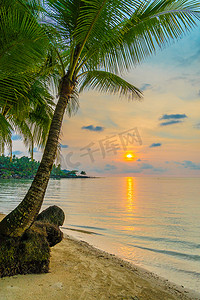 美丽的天堂海岛与海滩和海在椰子棕榈附近