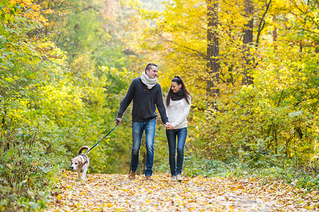 夫妇与狗在秋天的树林