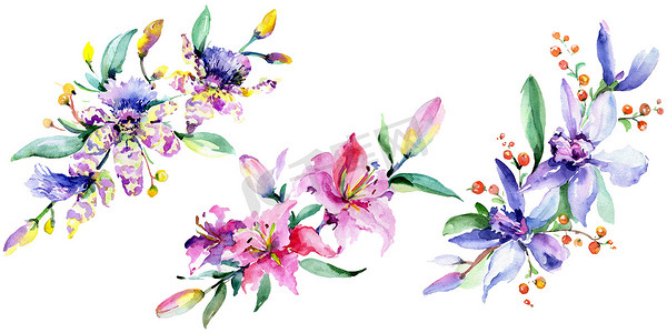 粉红色和紫色的兰花。水彩背景插图集。水彩画花束插画元素.