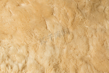 地毯具绵状毛羊皮的背景