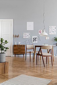 家庭设计摄影照片_设计斯堪的纳维亚家居内部的开放空间与时尚的椅子，家庭表，植物优雅的配件和模拟海报画廊墙。灰色背景墙。复古舒适的家居装饰.