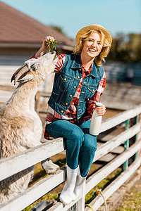 愉快的女农夫与牛奶瓶坐在木栅栏和饲养山羊在牧场