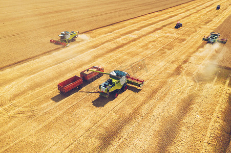 联合收割机在黄粮田采集小麦,无人机鸟瞰,农业作物季节与机械作业