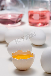 实验室器皿鸡蛋