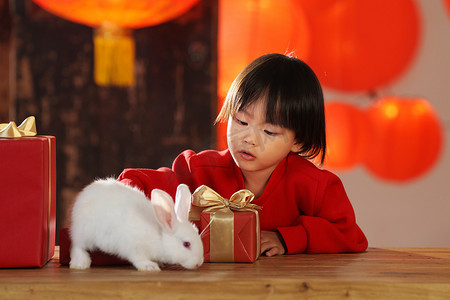 喜庆小动物摄影照片_可爱的小男孩收到新年礼物小兔子