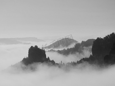 山谷图片摄影照片_受大雾的秋景。查看到欧洲德国国家公园深处迷雾笼罩的山谷。黑色和白色的图片.