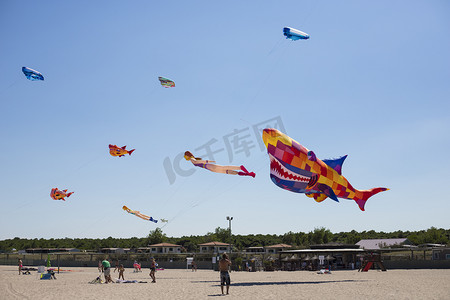 意大利维多利亚，罗索琳娜 · 马雷，维多利亚，维多莉亚海滩上的许多五彩缤纷的大风筝.