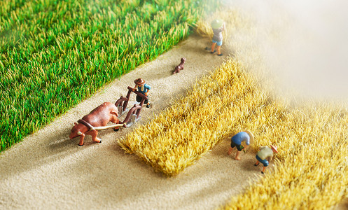 耕地农民摄影照片_农民们在稻田里劳作