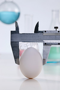 测量鸡蛋