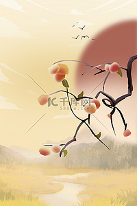 秋天柿子树背景图片_秋天柿子手绘海报背景