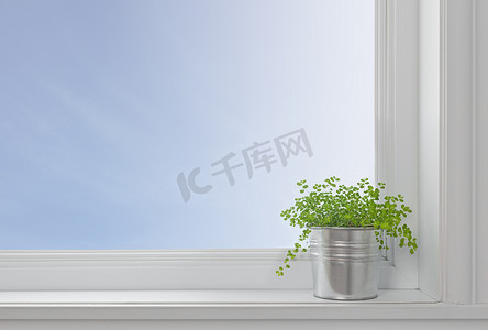 绿色的植物窗台的在一个现代的家