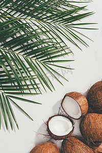 雨珠椰子摄影照片_新鲜自然椰子和绿色棕榈叶在白色的顶部视图