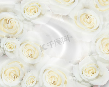 周年庆背景简约摄影照片_婚礼邀请白玫瑰