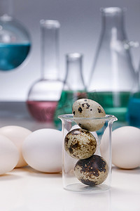 色彩分析摄影照片_实验室器皿鸡蛋鹌鹑蛋