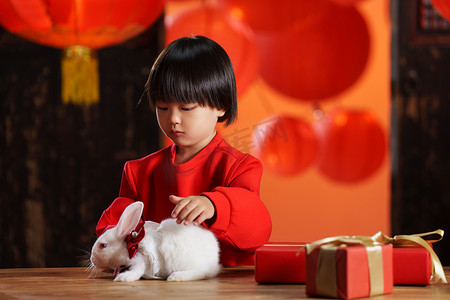清新可爱动物摄影照片_可爱的小男孩收到新年礼物小兔子