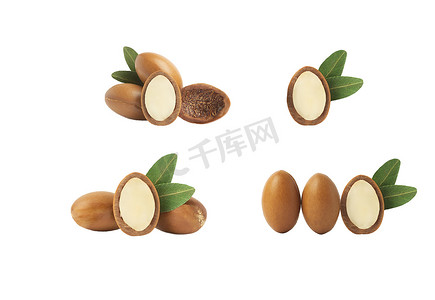 Argan油被隔离了Argan seeds with oil on a white background. 