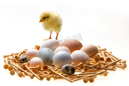 一只小鸡站在鸡蛋上