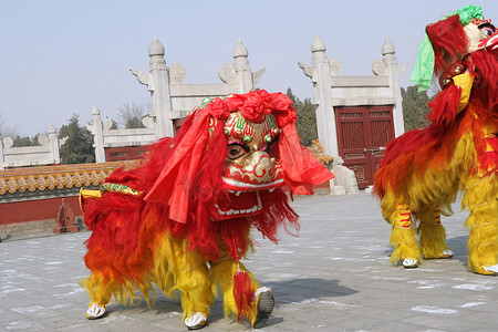 中国天坛舞狮