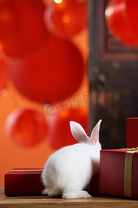 灯笼兔子摄影照片_新年礼物盒和兔子